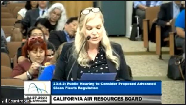 CSDA Heidi Hannaman testifying 